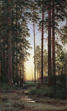 希施金高清风景油画作品  日落下的松树林 大图下载