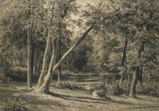 希施金高清风景素描作品  森林里的小池塘  大图欣赏