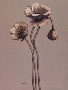 欧式复古三联装饰画: 罂粟花 A