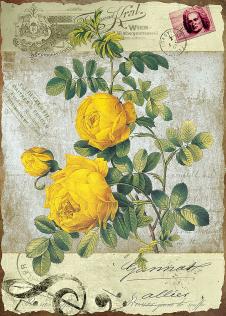 欧式三联邮票与花卉画: 玫瑰花装饰画下载 B