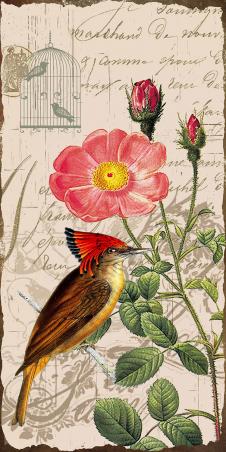 现代欧式花鸟装饰画高清素材: 小鸟和月季花