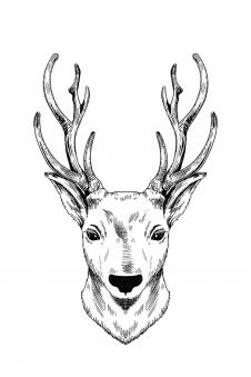 黑白麋鹿线条画: 麋鹿装饰画, 鹿头装饰画下载 A