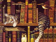 波西米亚猫系列: 睡在书架里的猫