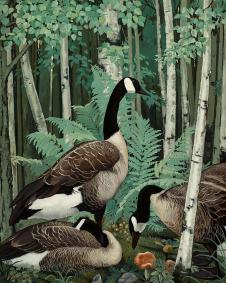 森林里的野鸭油画图片