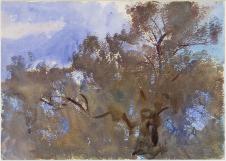 萨金特水彩画作品: 树木和天空水彩画欣赏