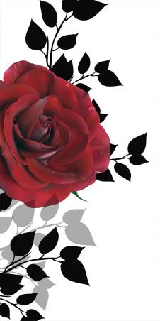 现代简约装饰画高清素材: 黑白玫瑰花 C