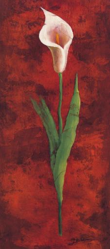 交易不错的红色背景的四联花卉装饰画:马蹄莲