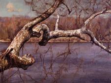 河边的斜树油画欣赏