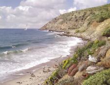 地中海风景油画素材下载: 海边的休息海鸥
