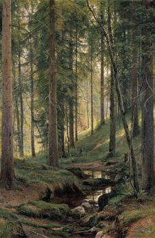 希施金高清风景油画作品  松树林里的小溪  大图下载