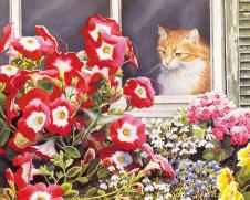 田园猫水彩画系列: 花园里的猫 B