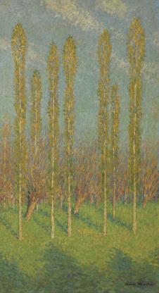 亨利马丁油画: 阳光下的树林油画