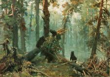 希施金印象风景油画: 松林的早晨
