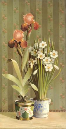 唯美静物画: 花盆里的鸢尾花和兰花