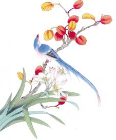 枝头小鸟国画欣赏:兰花枫叶和小鸟