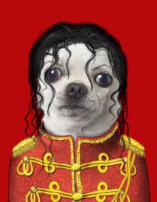 宠物明星脸高清素材下载:   迈克杰克逊狗装饰画