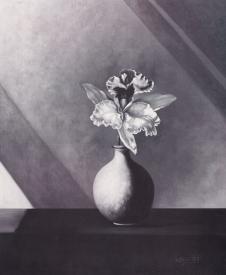现代高清黑白四联花卉装饰画素材: 白花瓶和蝴蝶兰