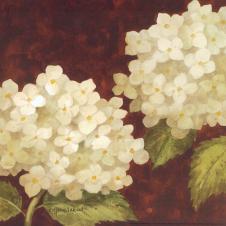 欧式花卉水彩画: 绣球花装饰画素材