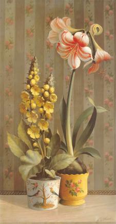 唯美静物画: 花盆里的百子莲和小黄花