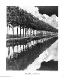 高清黑白风景摄影素材下载:河边整齐的树木摄影图片