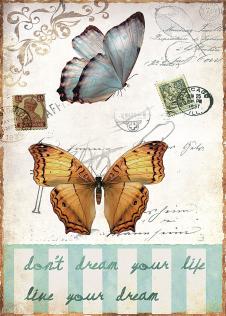 邮票与标本: 蝴蝶与蜻蜓装饰画欣赏 B