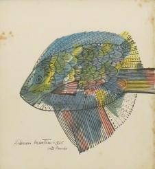奥尔德米尔·马丁斯 （Aldemir Martins）鱼水彩画