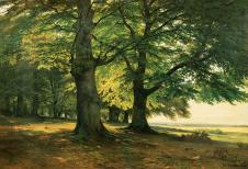 希施金风景油画作品 森林中的大树  高清大图素材下载