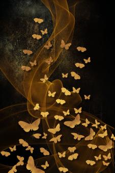 现代三联晶瓷画: 金色蝴蝶装饰画欣赏 C