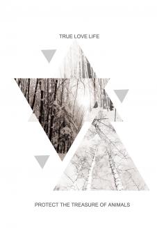 风景与几何图形: 三角形和雪景