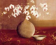 陶罐里的花卉素材: 蝴蝶兰