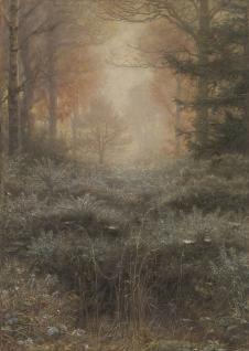 米莱斯作品: 清晨有雾气的森林