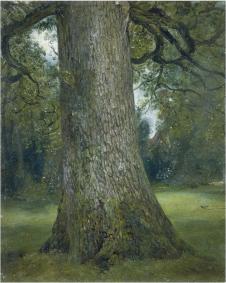 英国画家卢西安弗洛伊德作品  大树  高清大图欣赏