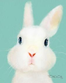 2017年现代小动物装饰画系列素材: 小兔子装饰画