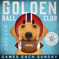 动物装饰画素材,狗装饰画: 玩橄榄球的金毛犬