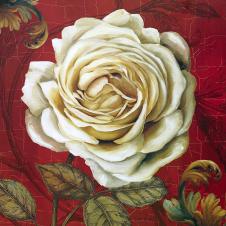 欧式高清白玫瑰花装饰画素材 B