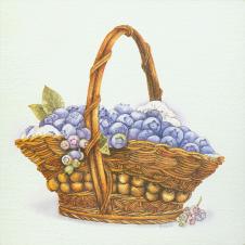 欧式四联水果水彩画: 篮子里的水果 D