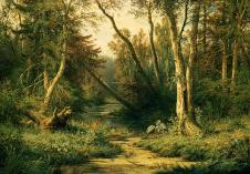 "森林歌手"希施金高清森林风景油画作品 林中鹭景  