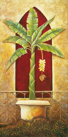 中东风格装饰画素材: 花盆里的香蕉树