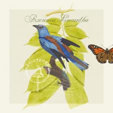 四联装饰画: 蝴蝶和小鸟  A